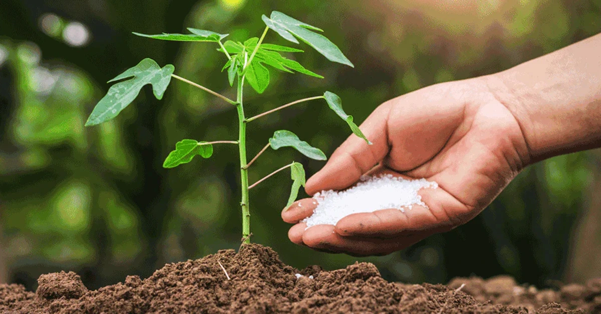 रासायनिक उर्वरक का मिट्टी पर खतरनाक असर : किसानों पर मंडराता खतरा !